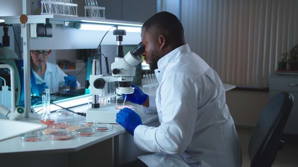 Cell culture scientist Cell culture scientist